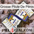 Grosse Pilule De Pénis 12
